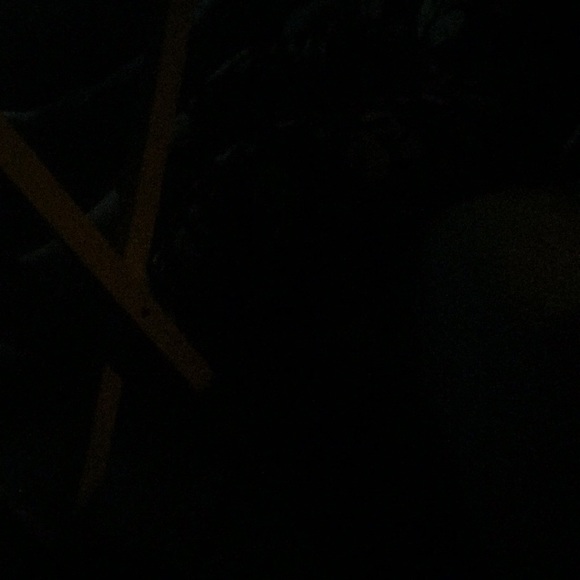 rob_r